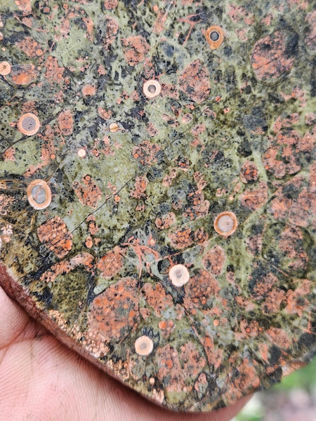Polished Rhyolite slab SR101