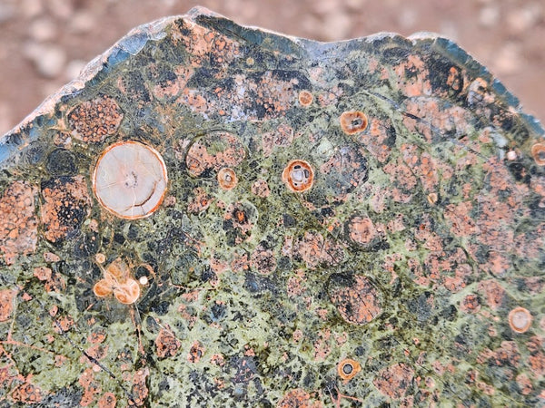 Polished Rhyolite slab SR101