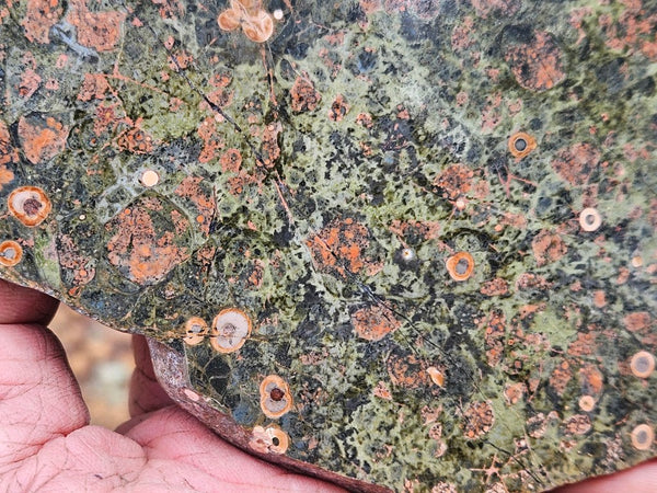 Polished Rhyolite slab SR101