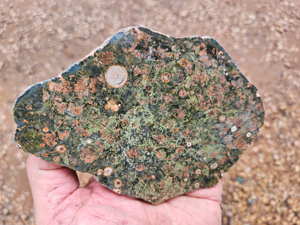Polished Rhyolite slab SR101