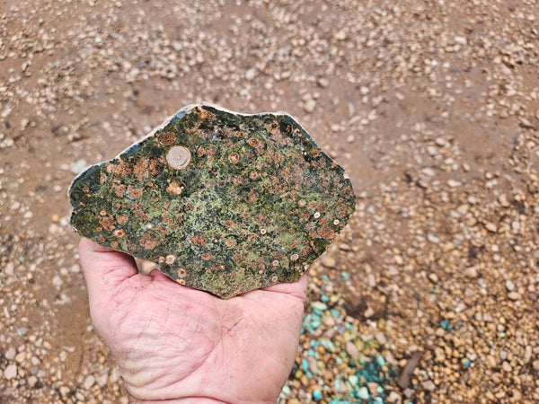 Polished Rhyolite slab SR101