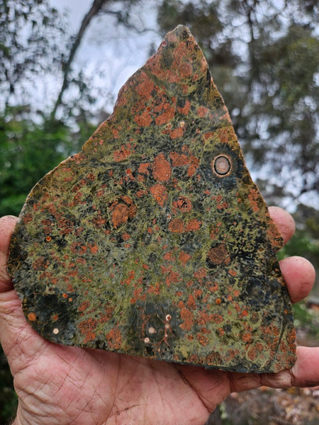 Polished Rhyolite slab SR102