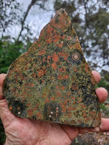 Polished Rhyolite slab SR102