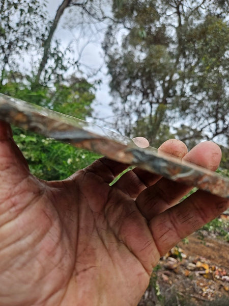 Polished Rhyolite slab SR102