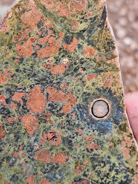 Polished Rhyolite slab SR102