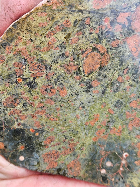 Polished Rhyolite slab SR102