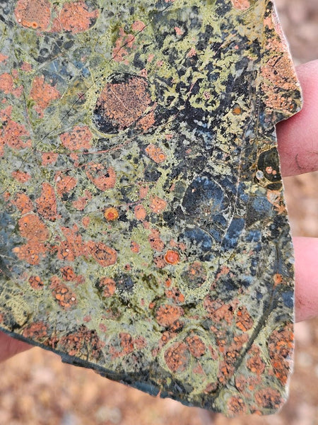 Polished Rhyolite slab SR102