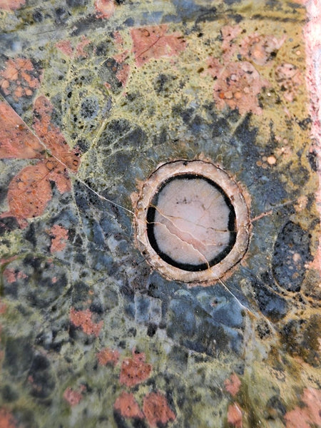 Polished Rhyolite slab SR102