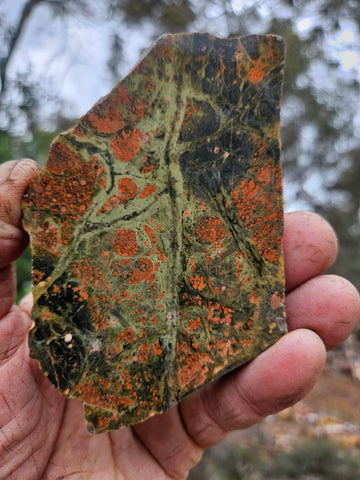 Polished Rhyolite slab SR103