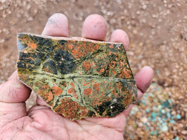 Polished Rhyolite slab SR103