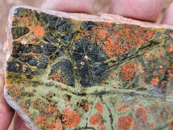 Polished Rhyolite slab SR103