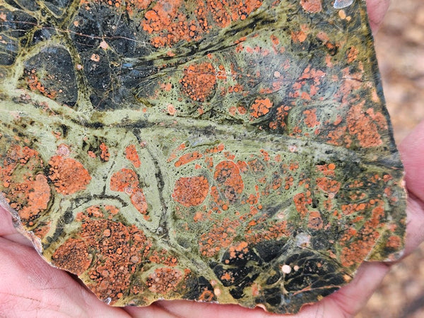 Polished Rhyolite slab SR103