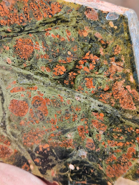 Polished Rhyolite slab SR103