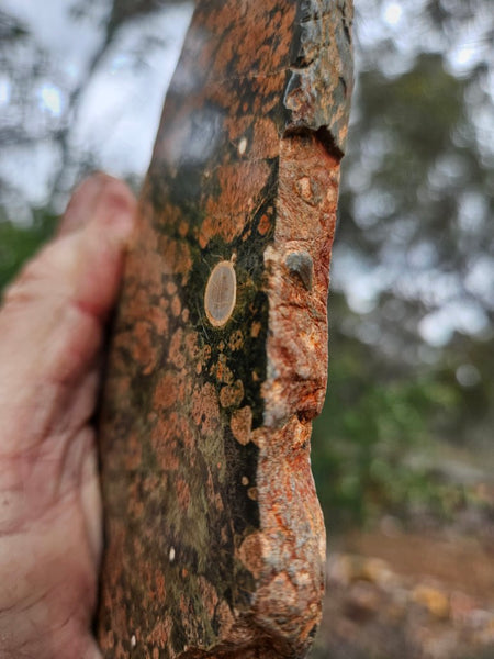 Polished Rhyolite slab SR104