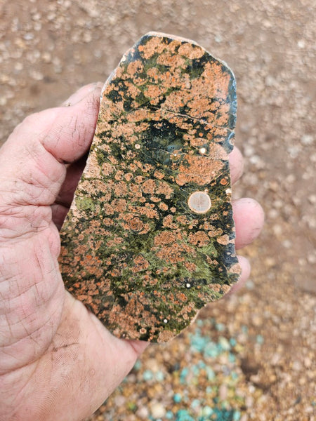 Polished Rhyolite slab SR104
