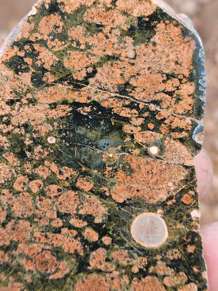 Polished Rhyolite slab SR104