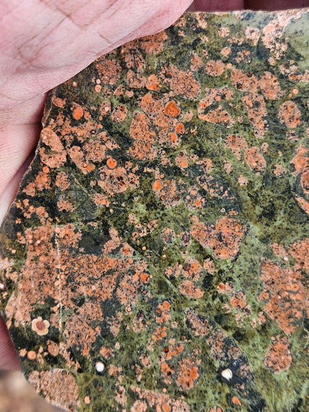 Polished Rhyolite slab SR104
