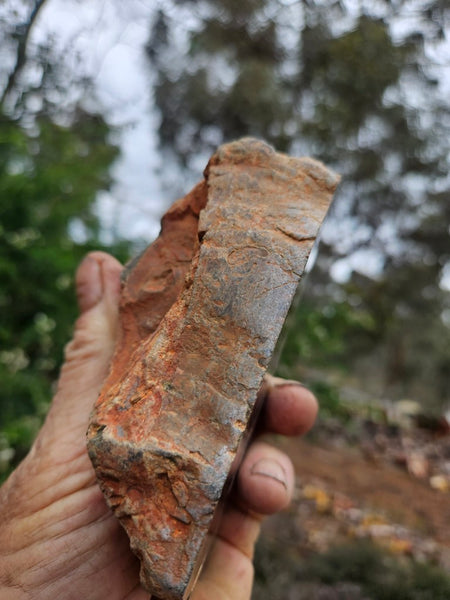 Polished Rhyolite SR105