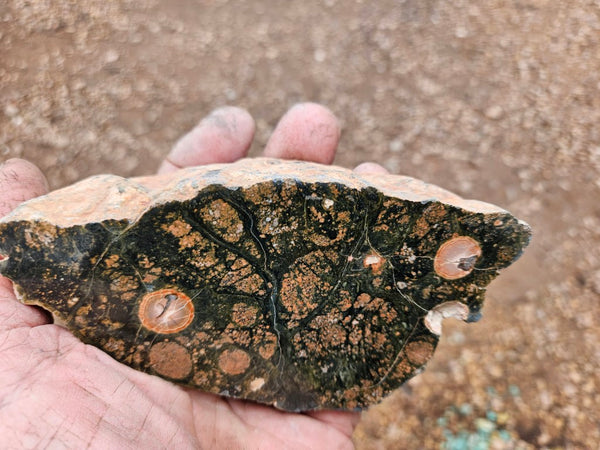 Polished Rhyolite SR105