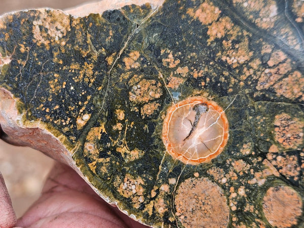 Polished Rhyolite SR105