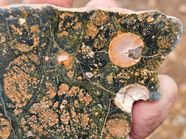 Polished Rhyolite SR105