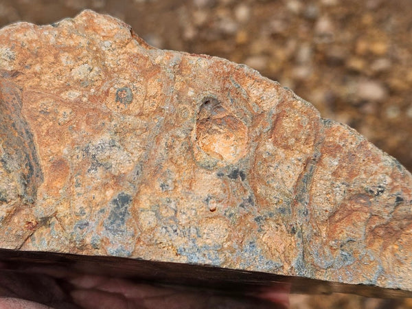 Polished Rhyolite SR105