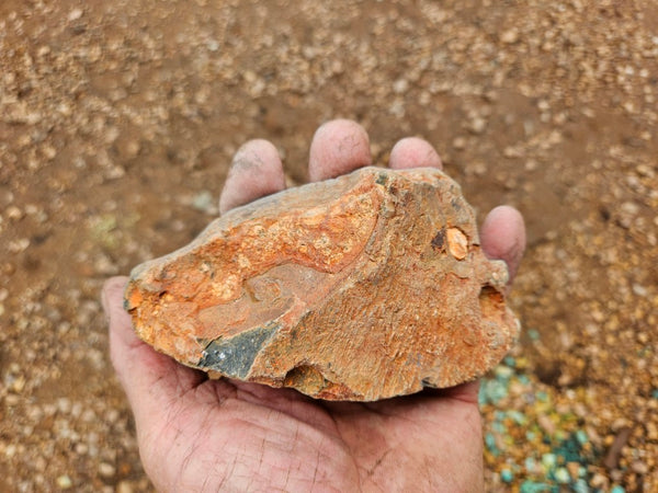 Polished Rhyolite SR105