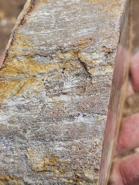 Polished Petrified Wood PET103