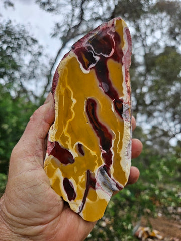 Polished Mookaite  MK564
