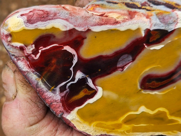 Polished Mookaite  MK564