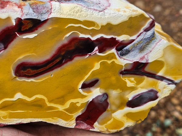 Polished Mookaite  MK564