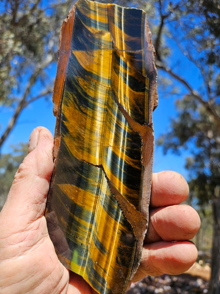 Polished African Tiger Eye slab TEA110