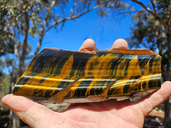 Polished African Tiger Eye slab TEA110