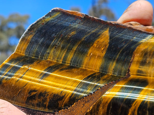 Polished African Tiger Eye slab TEA110