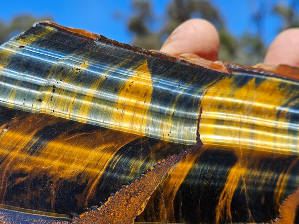 Polished African Tiger Eye slab TEA110