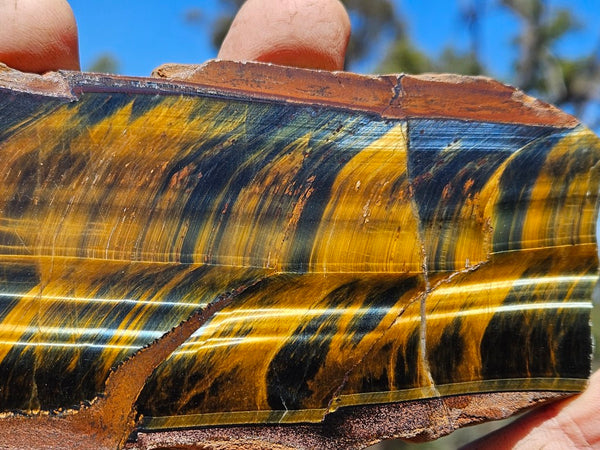 Polished African Tiger Eye slab TEA110