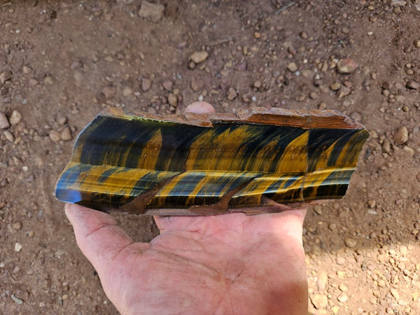 Polished African Tiger Eye slab TEA110