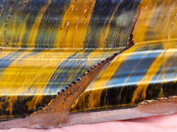 Polished African Tiger Eye slab TEA110