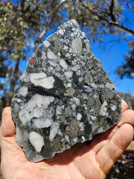 Polished Beaton's Creek auriferous conglomerate slab BC106