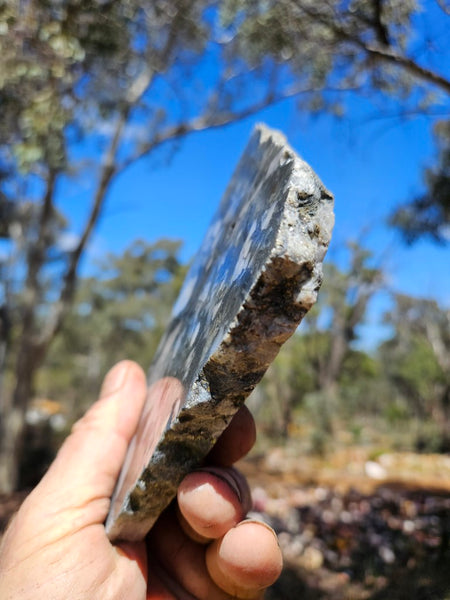 Polished Beaton's Creek auriferous conglomerate slab BC106