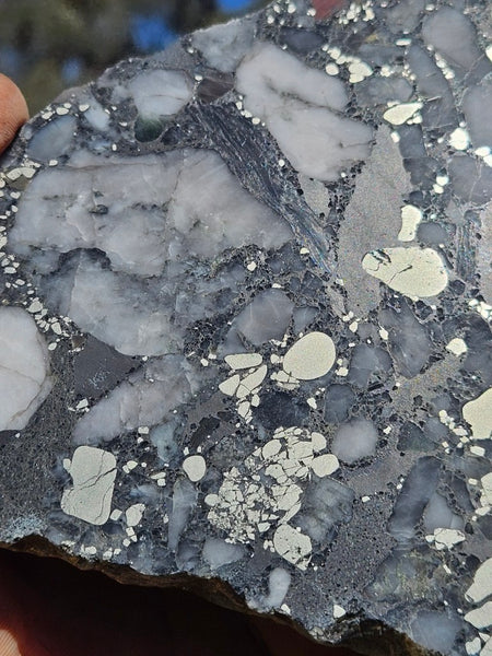 Polished Beaton's Creek auriferous conglomerate slab BC106