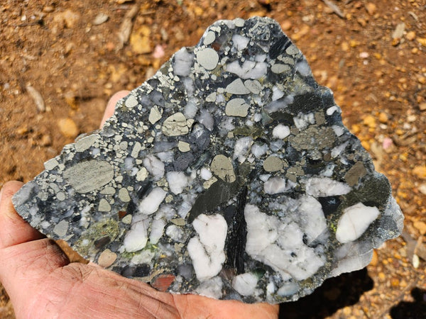 Polished Beaton's Creek auriferous conglomerate slab BC106