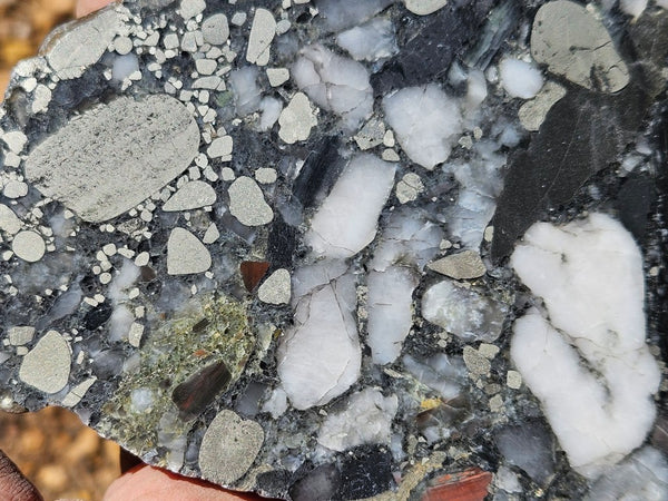 Polished Beaton's Creek auriferous conglomerate slab BC106