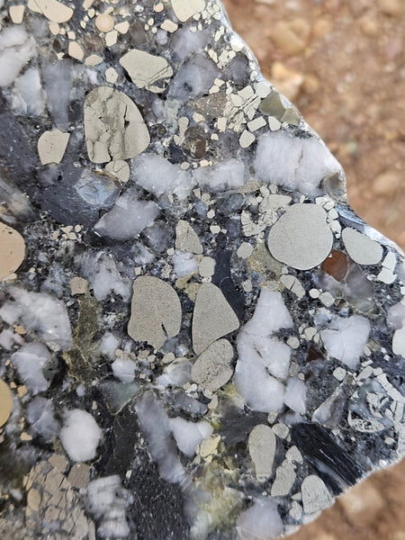 Polished Beaton's Creek auriferous conglomerate slab BC106