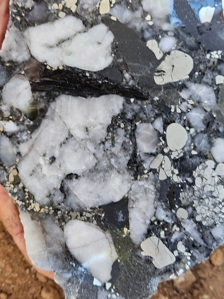 Polished Beaton's Creek auriferous conglomerate slab BC106