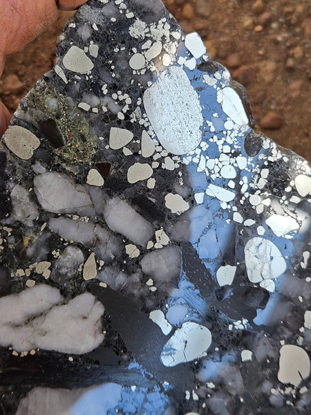 Polished Beaton's Creek auriferous conglomerate slab BC106