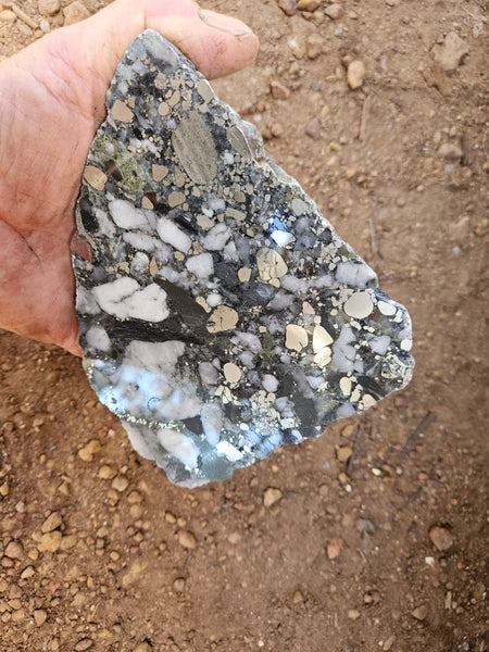 Polished Beaton's Creek auriferous conglomerate slab BC106