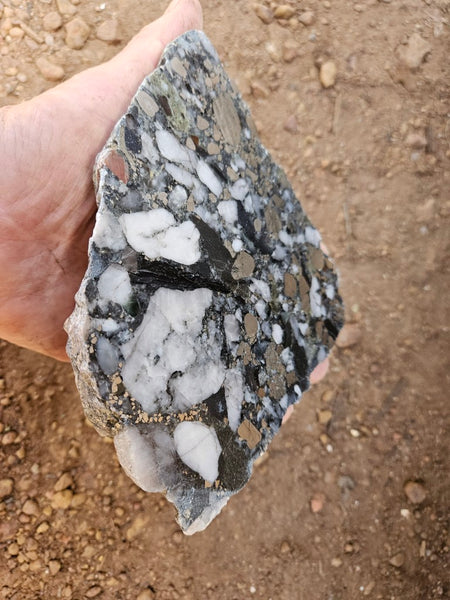 Polished Beaton's Creek auriferous conglomerate slab BC106