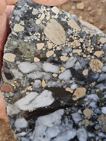 Polished Beaton's Creek auriferous conglomerate slab BC106