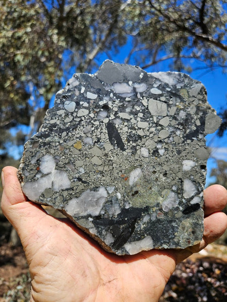 Polished Beaton's Creek auriferous conglomerate slab BC108